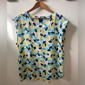 Ann Taylor XL silk/poly blend cap sleeve blouse.
